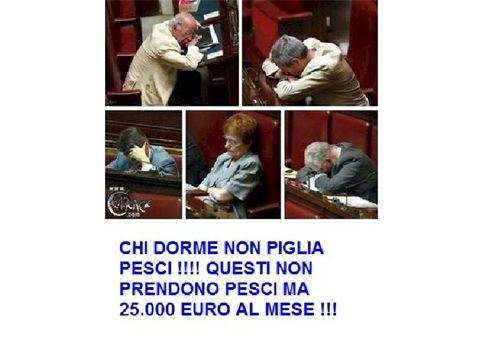 chi dorme non piglia pesci.jpg